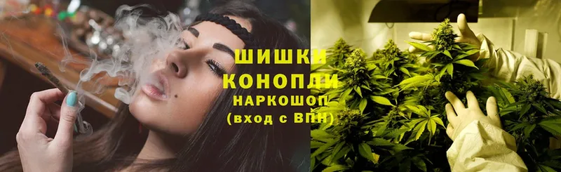 Бошки марихуана Bruce Banner  продажа наркотиков  Алагир 